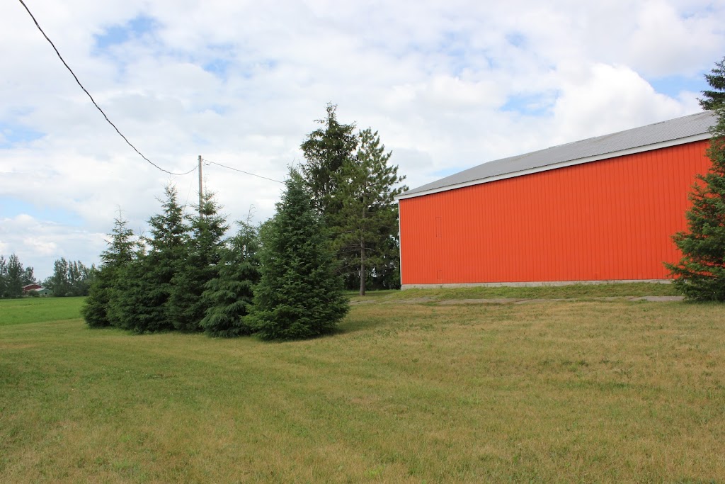 Orange Barn Events | 3184 Frank Kenny Rd, Navan, ON K4B 0C5, Canada | Phone: (613) 851-9374