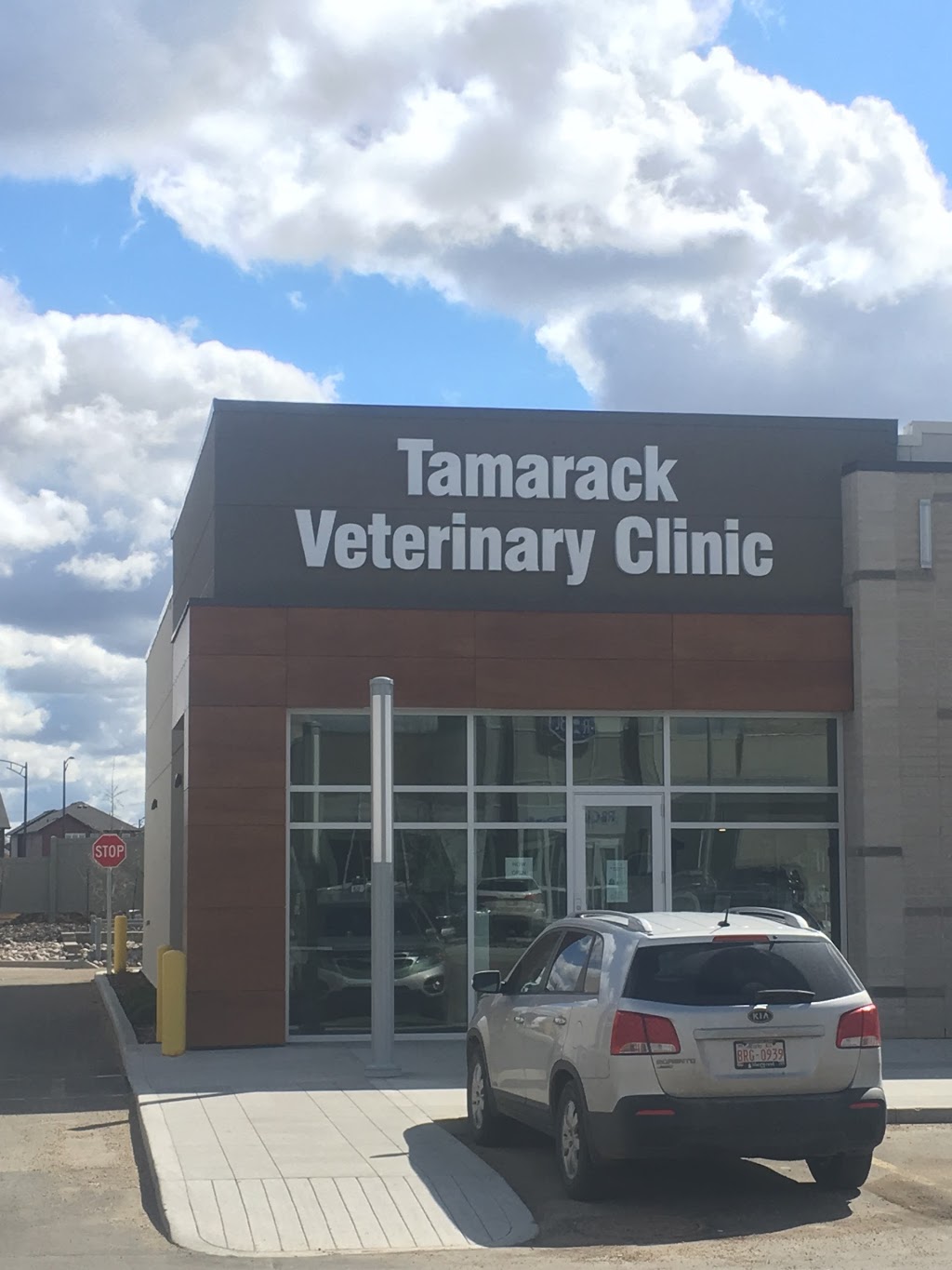 Tamarack Veterinary Clinic | 2531 17 St NW, Edmonton, AB T6T 0Y2, Canada | Phone: (780) 250-1700