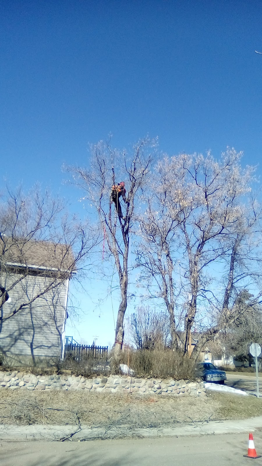 Broken limb tree removal | 18 45 St Crescent, Sylvan Lake, AB T4S 1K7, Canada | Phone: (587) 281-0686