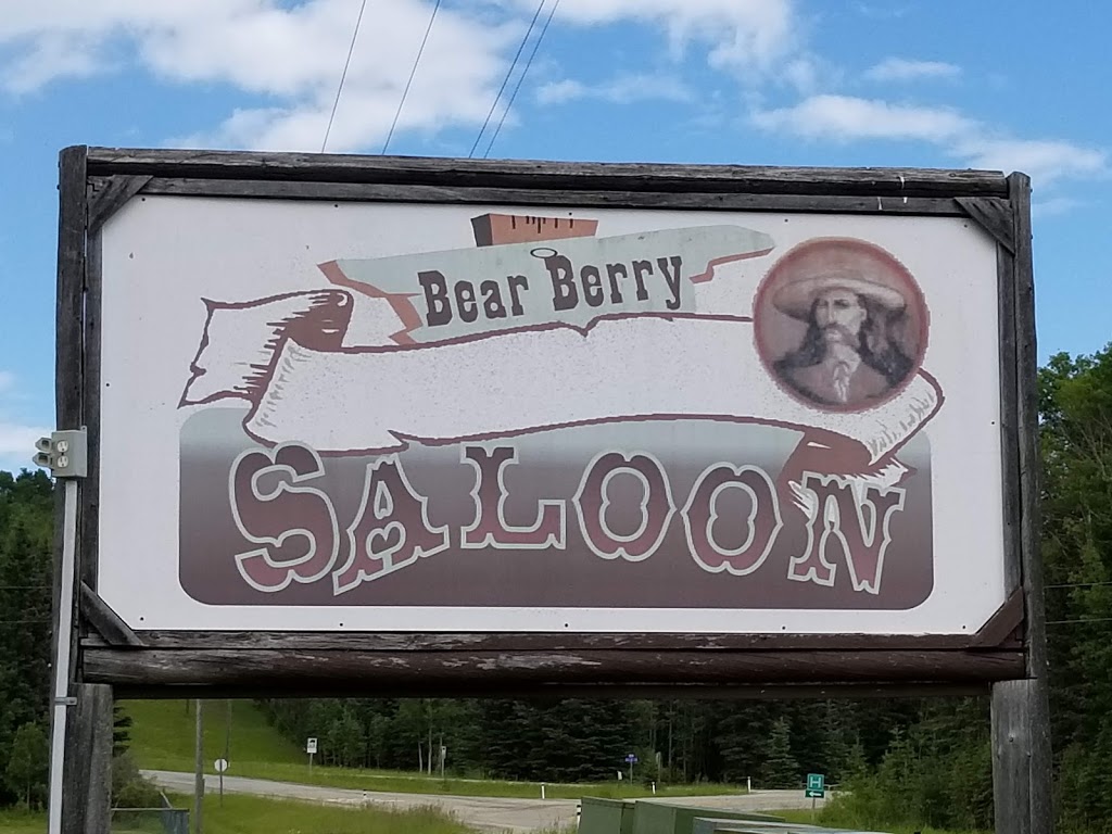 Bearberry Saloon Bar & Grill | 20 Km West Of Sundre Hwy 27, Sundre, AB T0M 1C0, Canada | Phone: (403) 638-9851