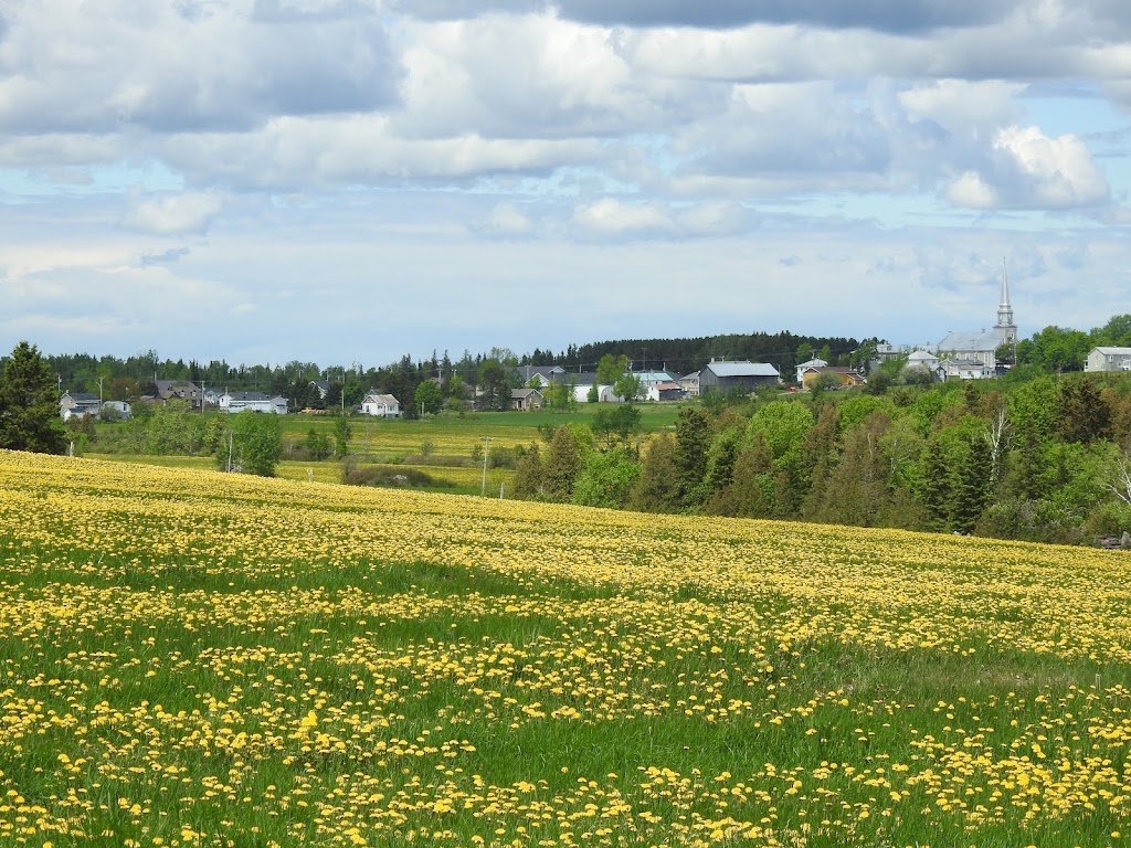 Municipalité de St-Marcel | 48, ch Taché E, Saint-Marcel, QC G0R 3R0, Canada | Phone: (418) 356-2691