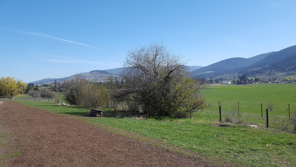 Mutrie Dog Park | 3985 Mutrie Rd, Vernon, BC V1T 9C8, Canada