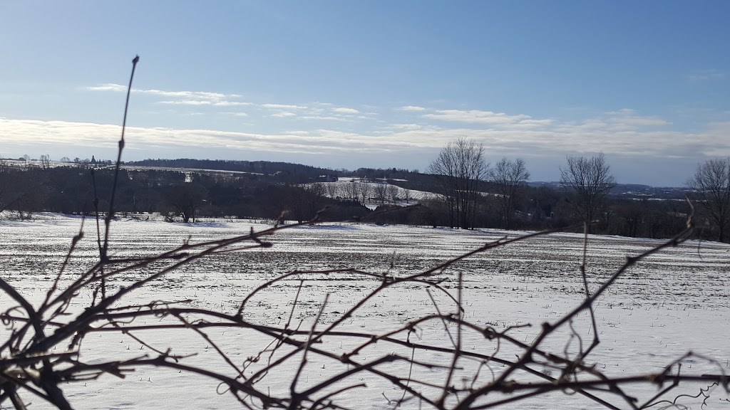 Saint John Cemetery | Lake Ridge Rd, Vallentyne, ON L0C, Canada