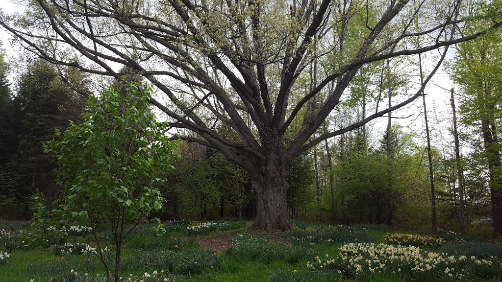 Sunny Fields, Inc. Botanical Park | 5444 Welch Rd, Emmett, MI 48022, USA | Phone: (810) 387-2765