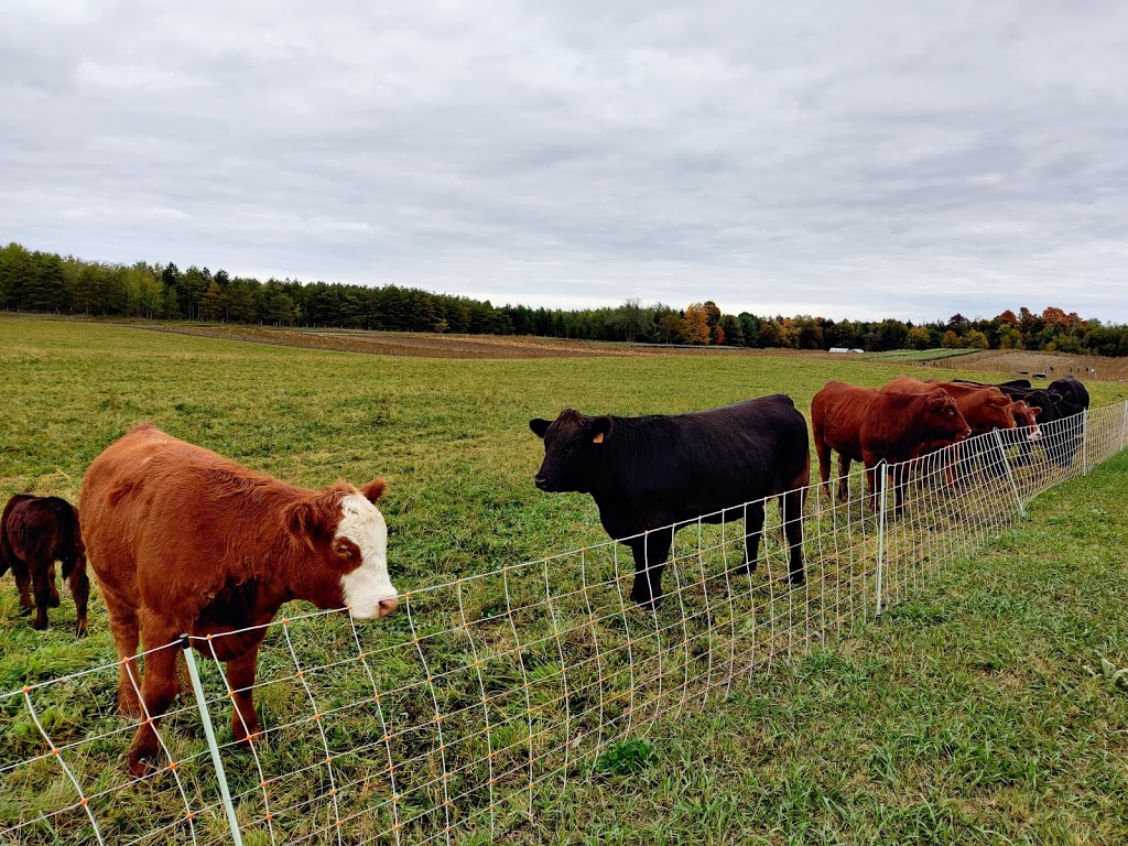 Coopers CSA Farm & Maze | 266 Ashworth Rd, Zephyr, ON L0E 1T0, Canada | Phone: (905) 830-4521