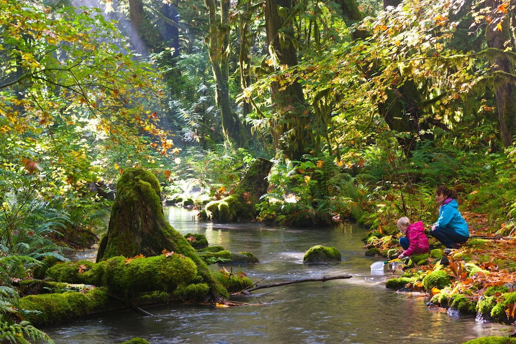 Cheakamus Centre | 1600 Paradise Valley Rd, Brackendale, BC V0N 1H0, Canada | Phone: (604) 898-5422