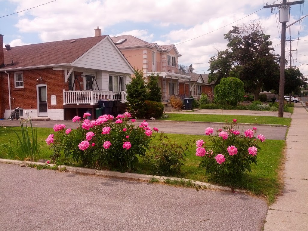 Wishing Well | 1801 Pharmacy Ave, Scarborough, ON M1R 2J2, Canada