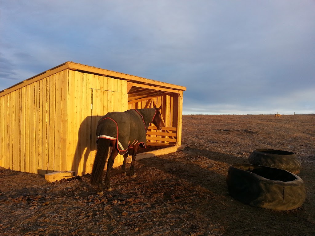 Wildcat Shelters | Rocky View No. 44, AB T0L, Canada | Phone: (403) 921-7630