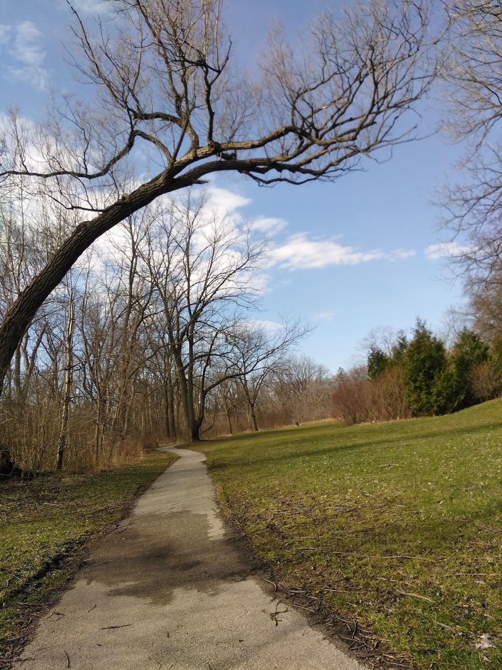 Hampshire Heights Park | 231 Martin Grove Rd, Etobicoke, ON M9B 4L2, Canada