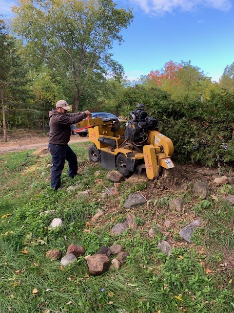 Arborstrong Tree Service | 2402 Concession, ON-6, Collingwood, ON L9Y 3Z1, Canada | Phone: (705) 351-8733