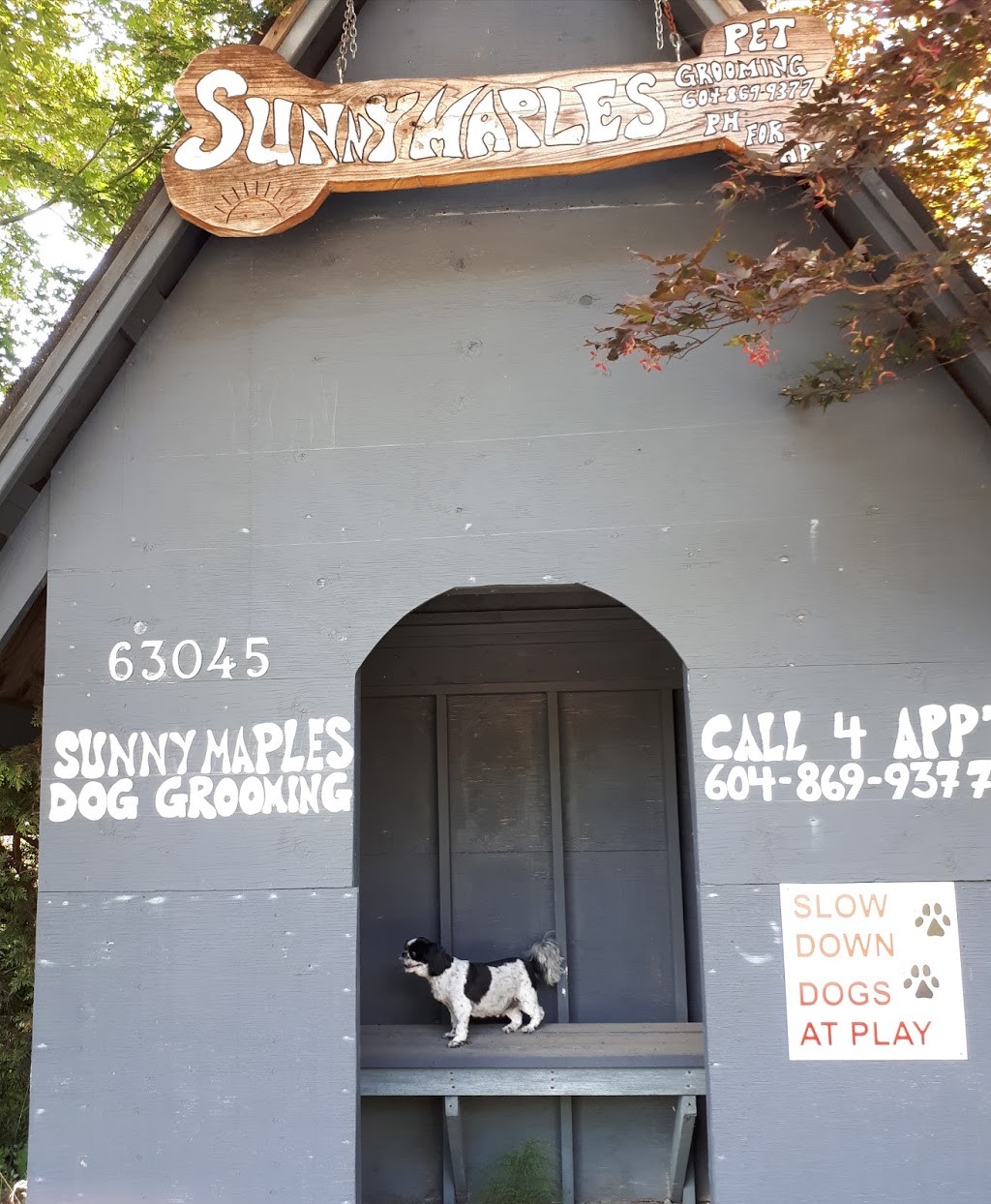 Sunnymaples Pet Grooming | 63045 Airport Rd, Hope, BC V0X 1L2, Canada | Phone: (604) 869-9377