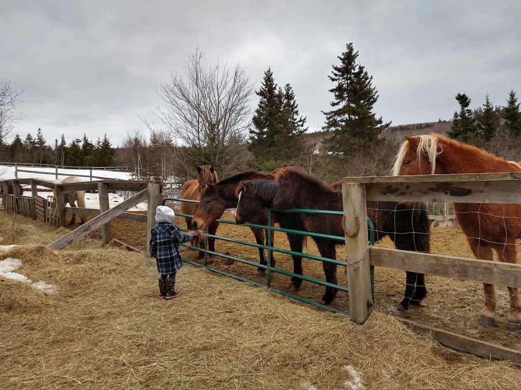 Tin Star Farm | 2403 Two Islands Rd, Parrsboro, NS B0M 1S0, Canada | Phone: (902) 216-0729