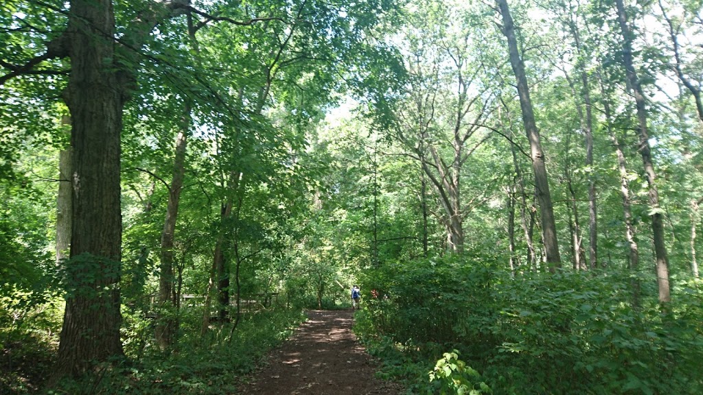 Tallgrass Prairie Heritage Park | Matchette Rd, Windsor, ON N9C, Canada | Phone: (877) 746-4311