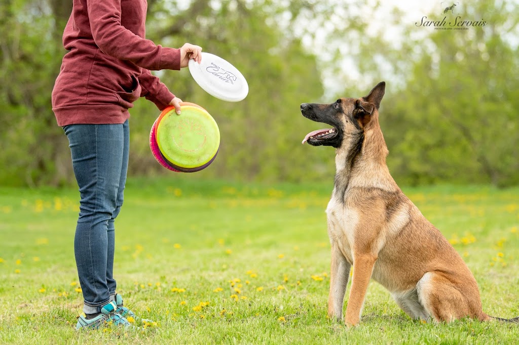 Équi-Canin | 11840 Chem. de la Rivière du N, Mirabel, QC J7N 1H8, Canada | Phone: (450) 275-1772