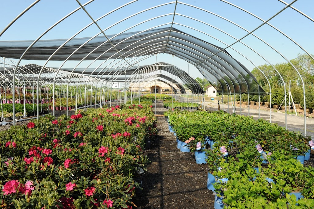 Songsco.com | Ocean Nursery, 16110 Woodbine Ave, Whitchurch-Stouffville, ON L4A 2W3, Canada | Phone: (647) 812-1188