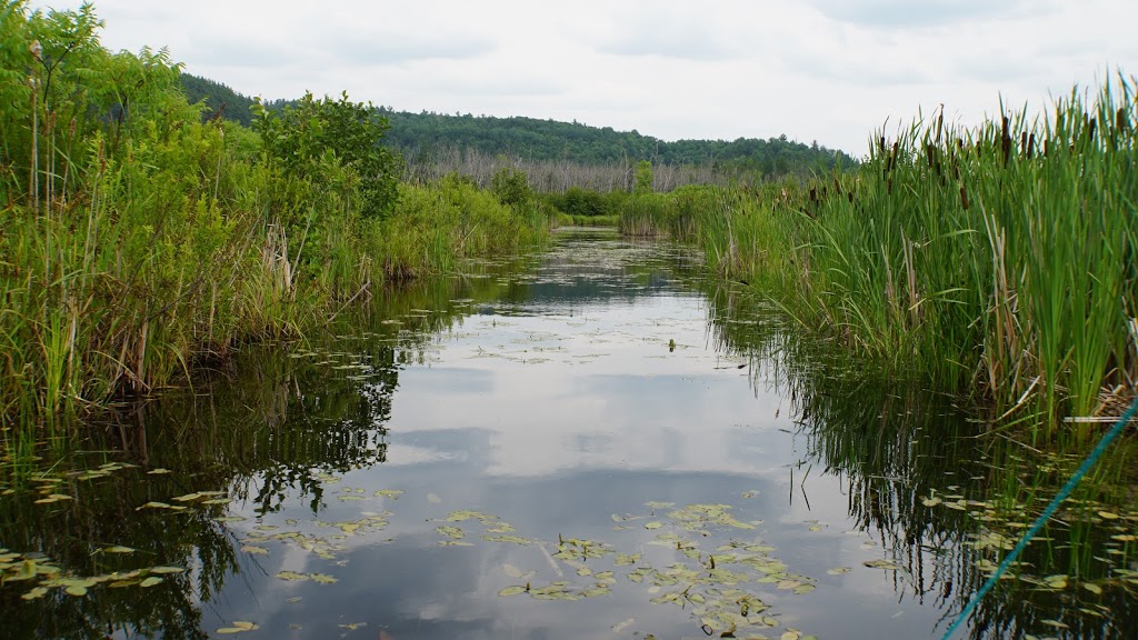 Eco-Odyssee | 52 Chemin des Sources, Wakefield, QC J0X 3G0, Canada | Phone: (819) 459-2551