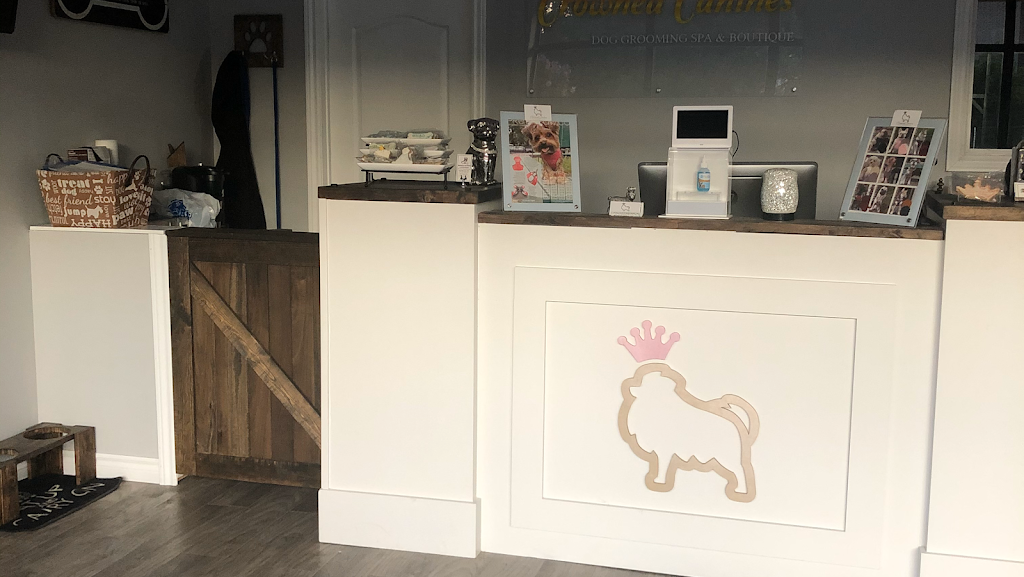 Crowned Canines Dog Grooming Spa & Boutique | 63 Queen St S Unit 6, Mississauga, ON L5M 3S9, Canada | Phone: (905) 997-4738