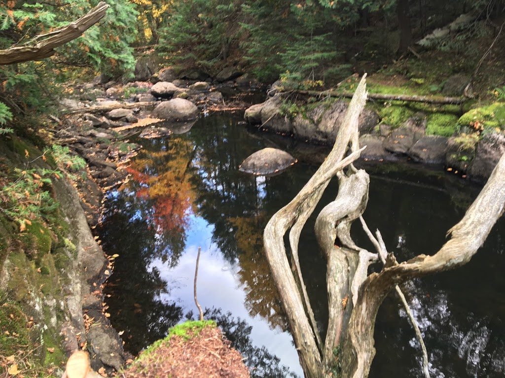 Les Berges du rocher | 2043-2399 Chemin du Lac-des-Trois-Frères, Saint-Adolphe-dHoward, QC J0T 2B0, Canada | Phone: (514) 926-4197