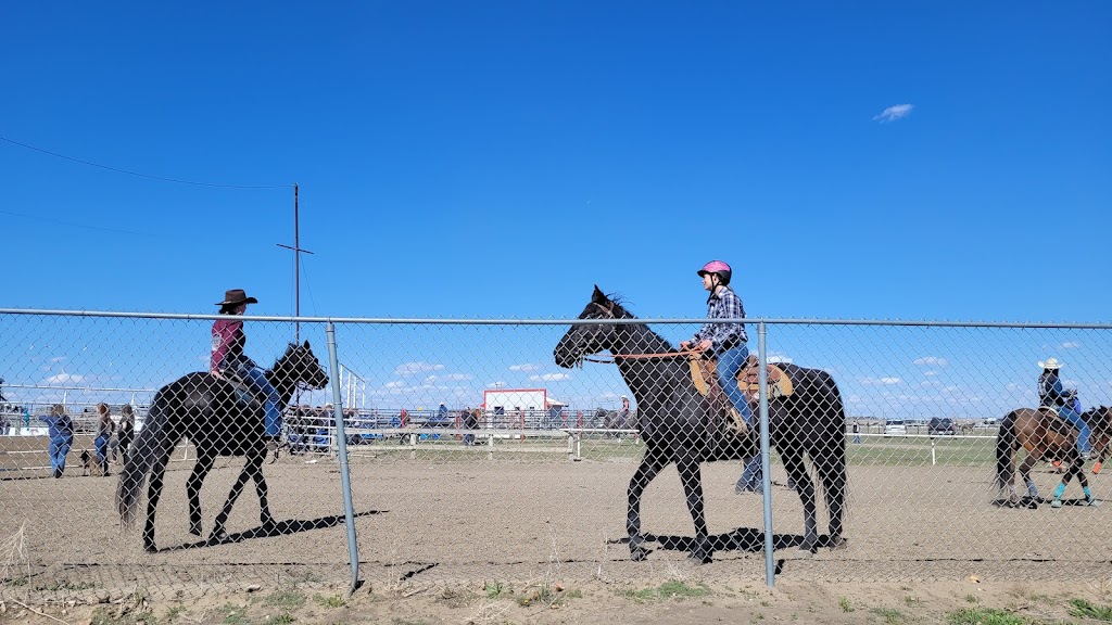 High River Rodeo Grounds | Foothills County, AB T0L 0A0, Canada | Phone: (403) 652-7349