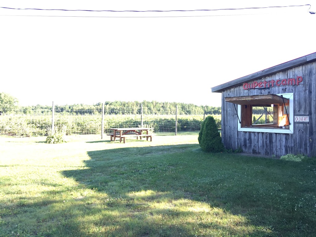 Bleuetière cédrière framboisier au petit camp | 6600, 4e rang, Saint-Lucien, QC J0C 1N0, Canada | Phone: (819) 397-2026