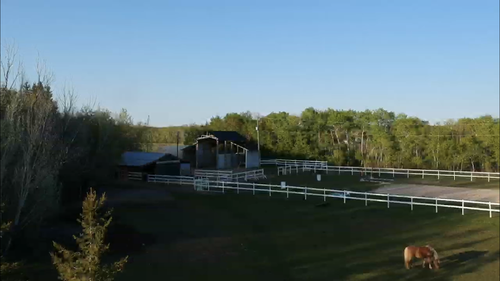 Sky’s the Limit Stables | 35031 Springfield Rd 63N, Anola, MB R5L 0H6, Canada | Phone: (204) 299-6095