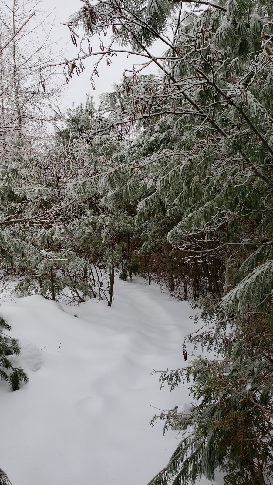 Réseau de Sentiers du Galai | Sainte-Marguerite-du-Lac-Masson, QC J0T 1L0, Canada