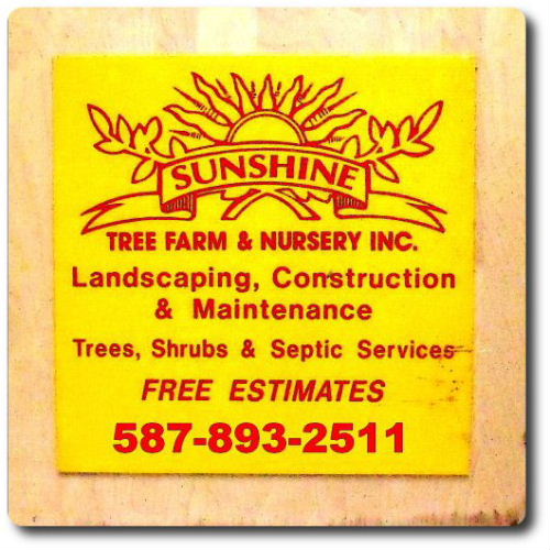 Sunshine Tree Farm & Nursery Inc. | 254/208 rr 284 ne, Calgary, AB T2M 4L5, Canada | Phone: (587) 889-2515