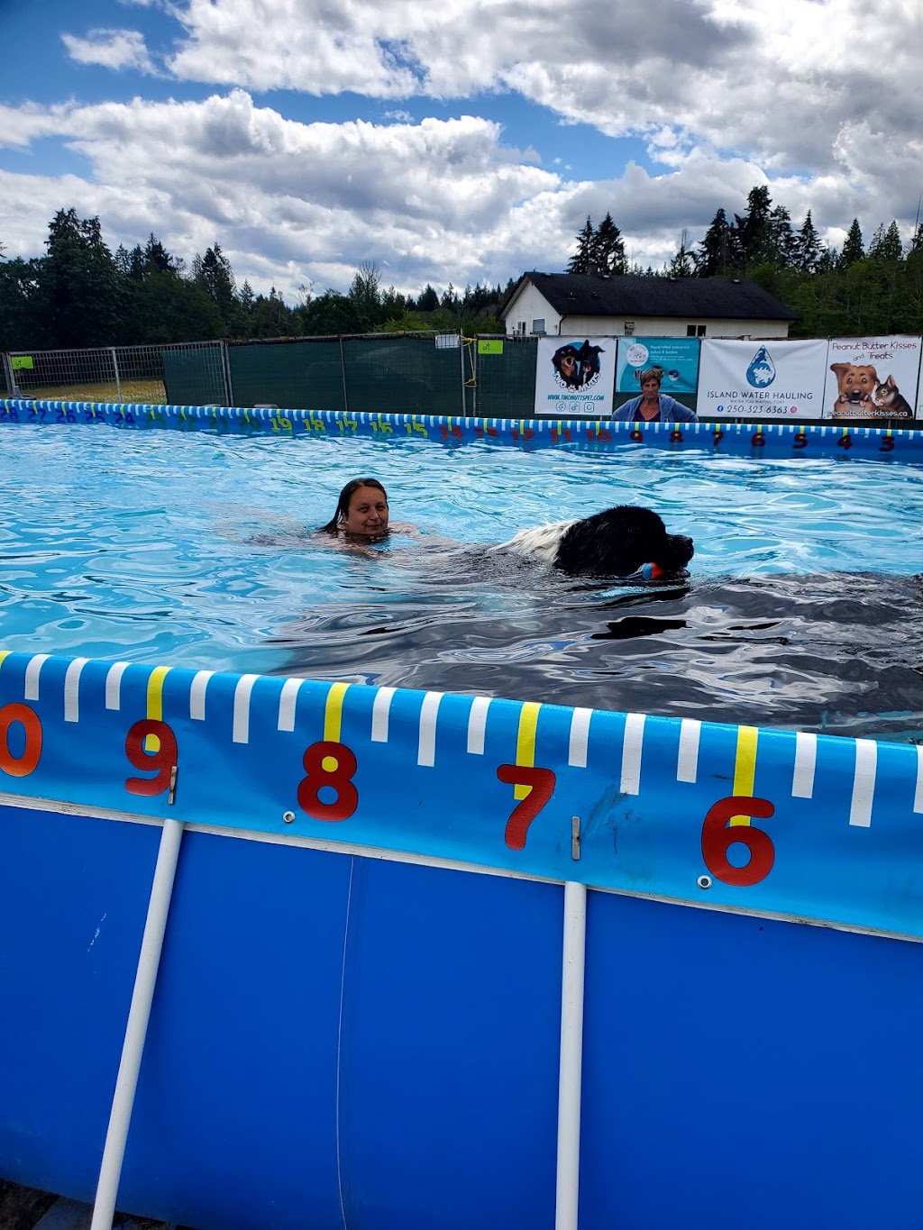 Pooch Pool School | 1550 Clifford Rd, Nanaimo, BC V9X 1L2, Canada | Phone: (250) 619-8241