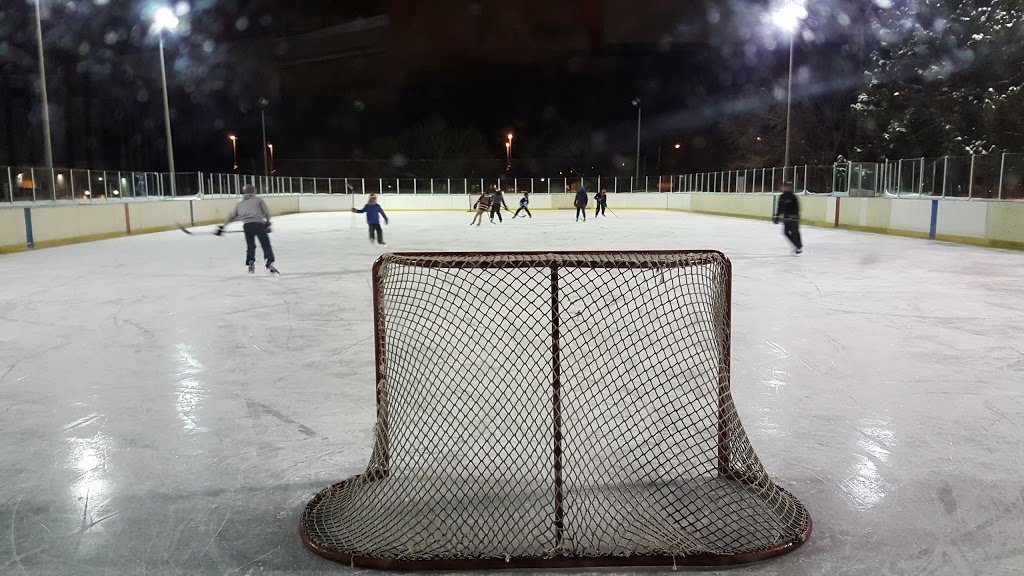 Irving W Chapley Rink | 205 Wilmington Ave, North York, ON M3H 6B3, Canada | Phone: (416) 395-0453