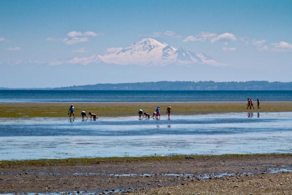 Centennial Beach Boundary Bay Regional Park | 541 Centennial Pkwy, Delta, BC V4L 2L5, Canada | Phone: (604) 349-0371