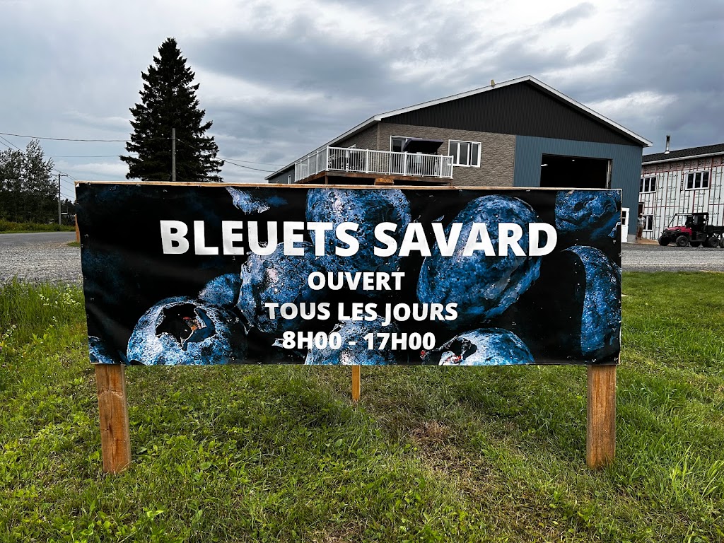 Bleuets Savard | 4205 2E RANG OUEST, Labrecque, QC G0W 2S0, Canada | Phone: (418) 720-7692
