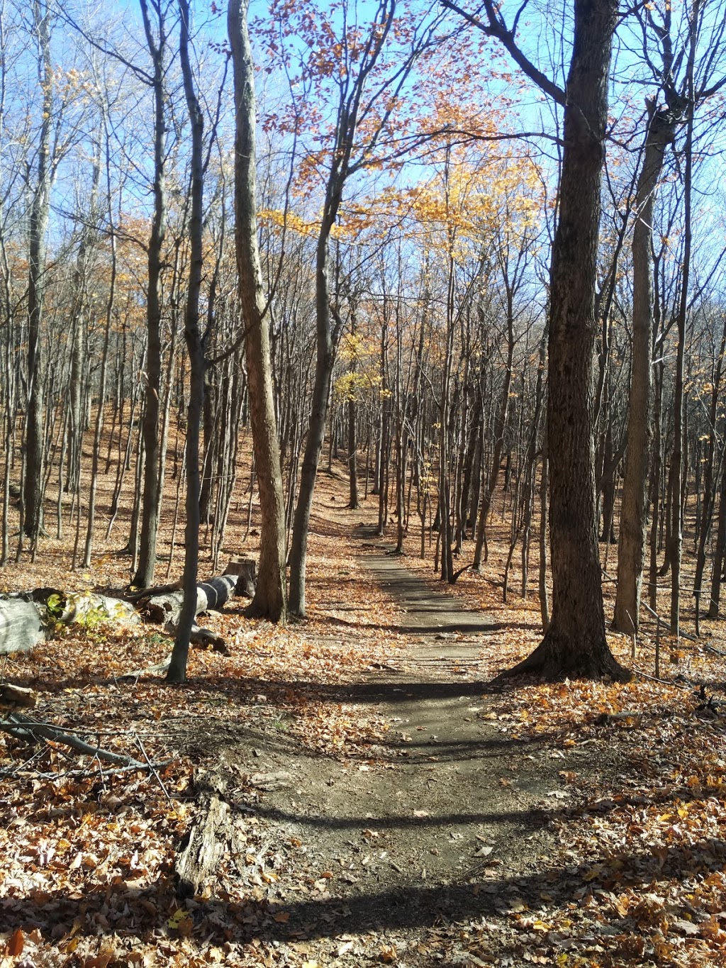 Gault Nature Reserve of McGill University | 422 Chemin des Moulins, Mont-Saint-Hilaire, QC J3G 4S6, Canada | Phone: (450) 467-4010