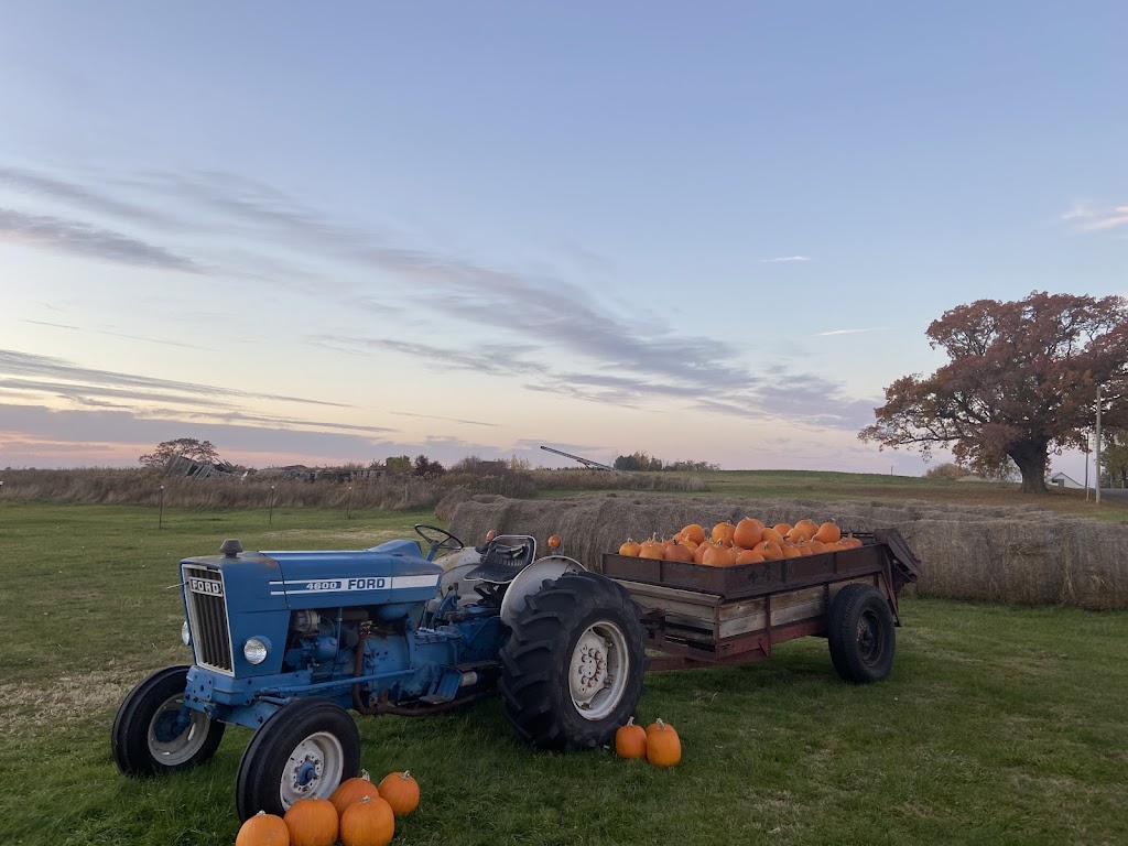 Urban Tractor Farm Winery | 3858 Konkle Rd, Lincoln, ON L3J 2B2, Canada | Phone: (905) 334-6401