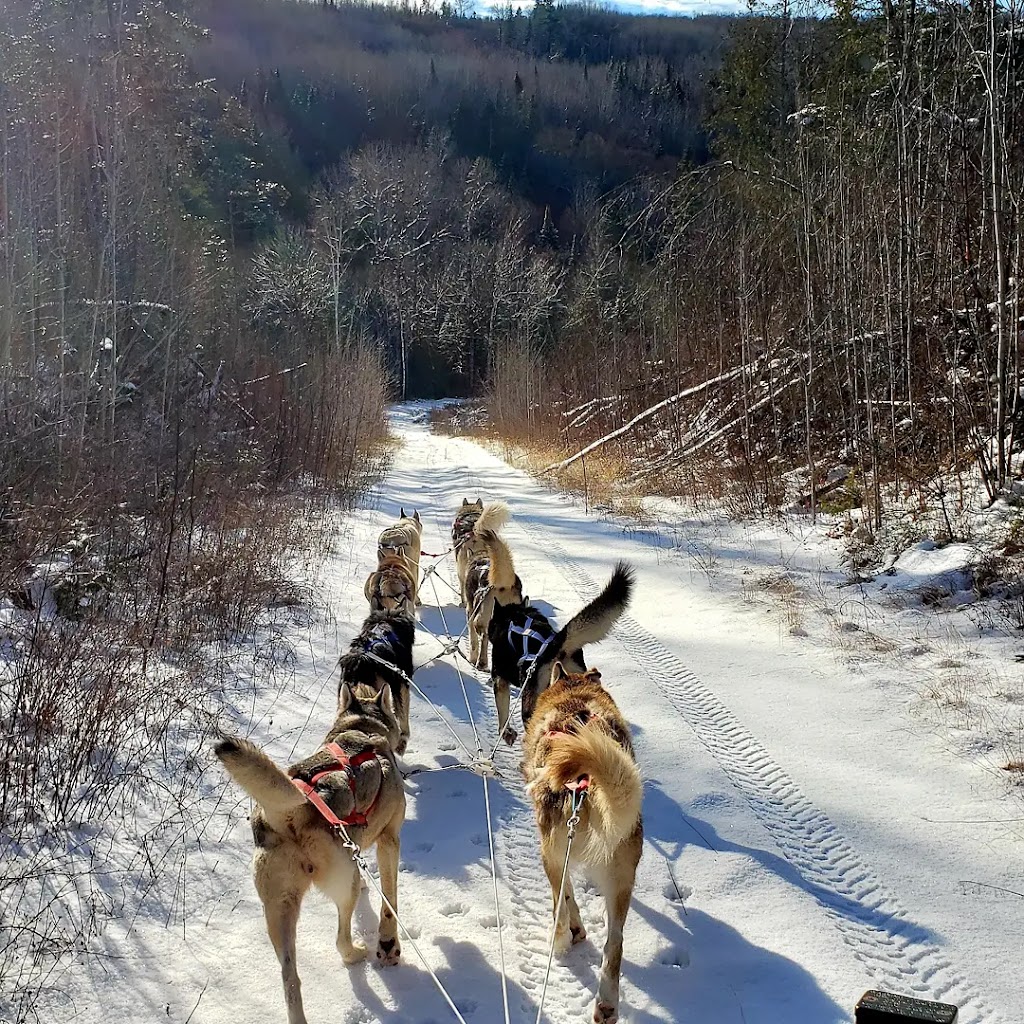 Galeox univers | 1150 chemin des Bêtes Puantes, Trois-Rives, QC G0X 2C0, Canada | Phone: (819) 801-8773