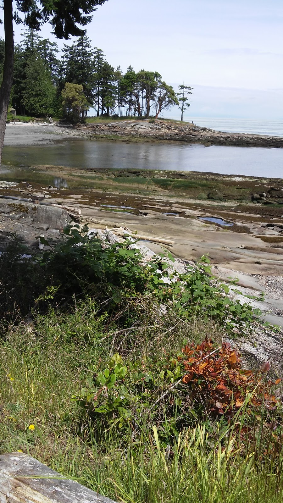 Morning Beach | 109 Harper Rd, Galiano Island, BC V0N 1P0, Canada