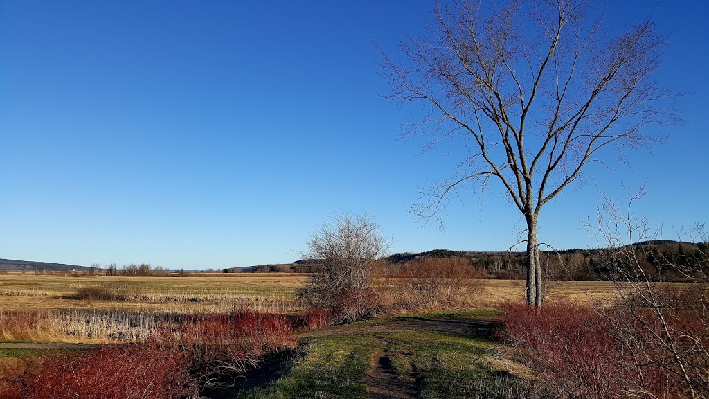 Hillsborough Visitor Information Centre | 2861 Main St, Hillsborough, NB E4H 2X8, Canada | Phone: (506) 734-2240