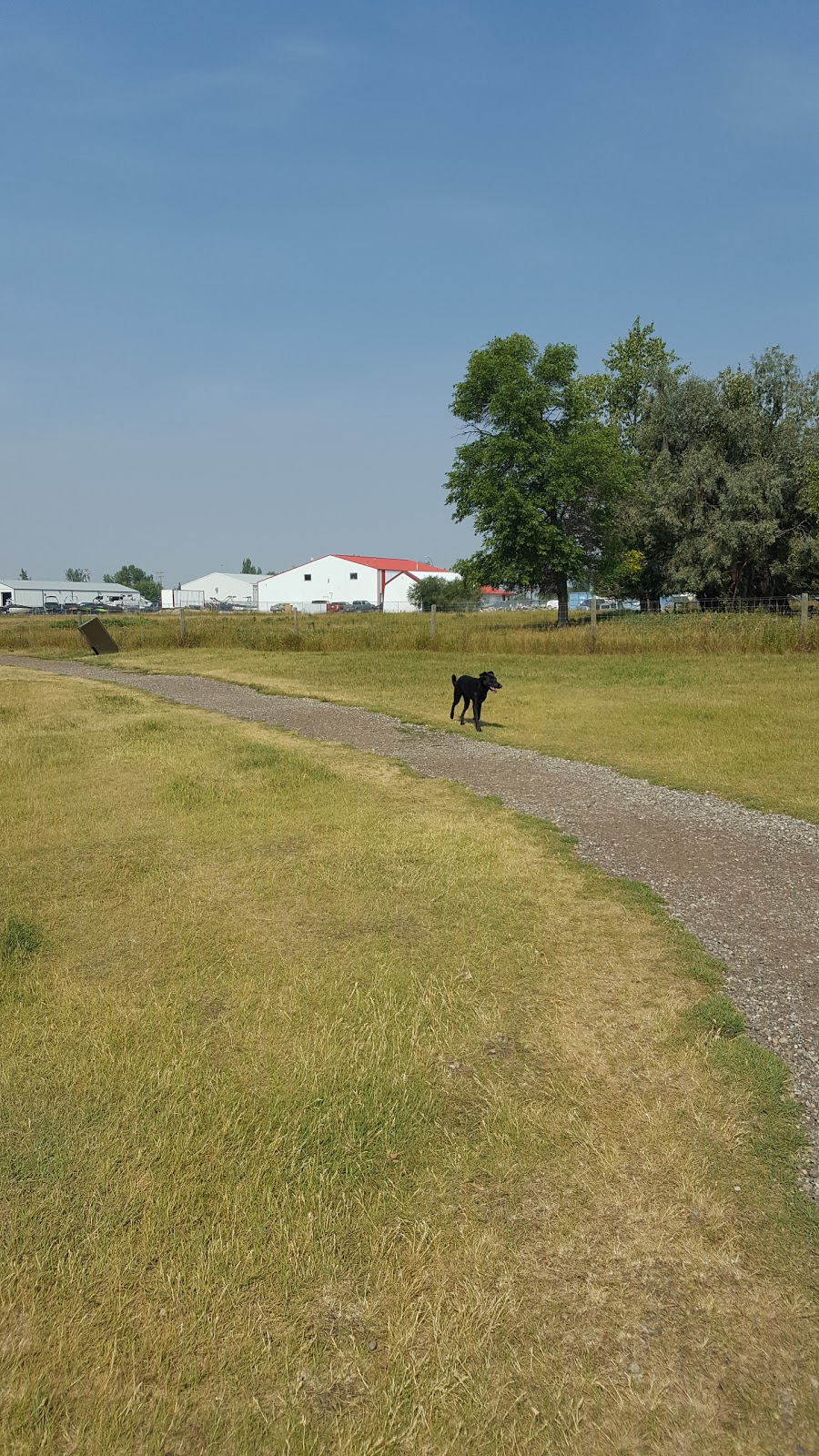 Town Of Strathmore Dog Park | 101 Slater Rd, Strathmore, AB T1P 1R8, Canada | Phone: (403) 934-0087