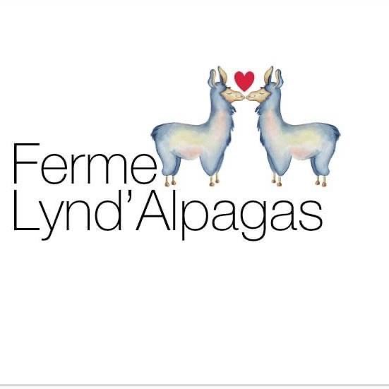 Ferme Lynd’Alpagas | 167 5e Rang, Lac-Etchemin, QC G0R 1S0, Canada | Phone: (581) 319-2456