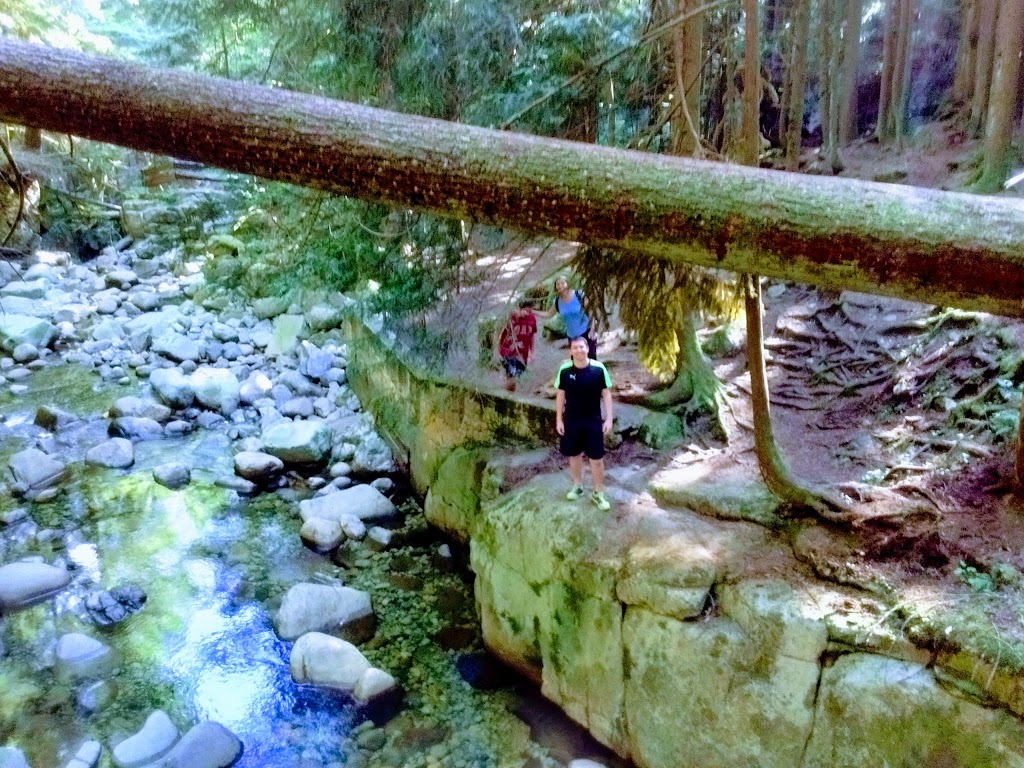 Cypress Falls Park | West Vancouver | Woodgreen Pl, West Vancouver, BC V7S 2V6, Canada | Phone: (604) 925-7275