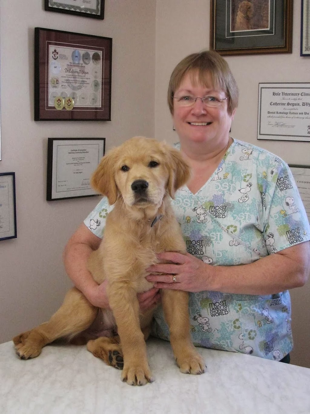 Brantford Veterinary Clinic | 277 King George Rd, Brantford, ON N3R 5L1, Canada | Phone: (519) 756-2390