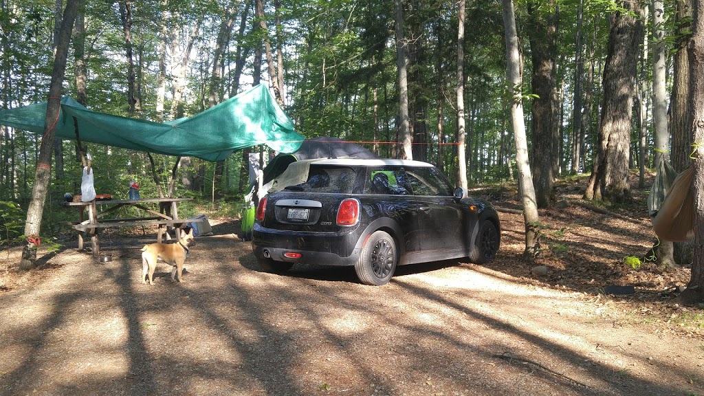 Loons Call Campground | 1177 Marble Lake Rd, Cloyne, ON K0H 1K0, Canada | Phone: (613) 336-2625