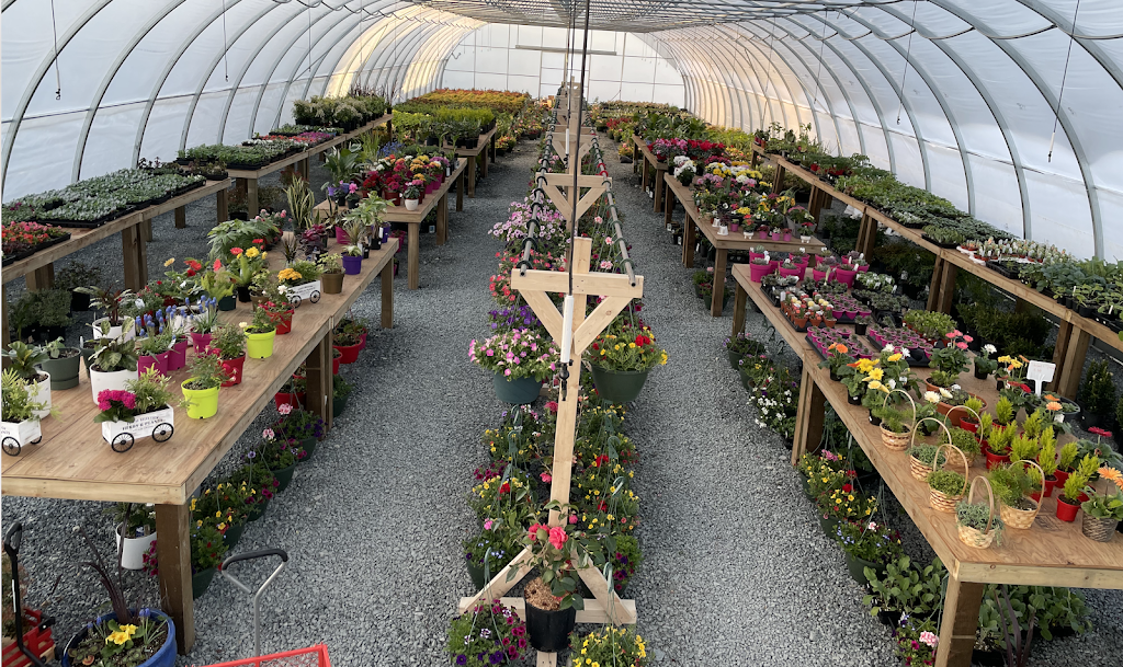 Acme Farms & Nurseries | 10641 Ladner Trunk Rd, Delta, BC V4G 1K2, Canada | Phone: (604) 200-0405