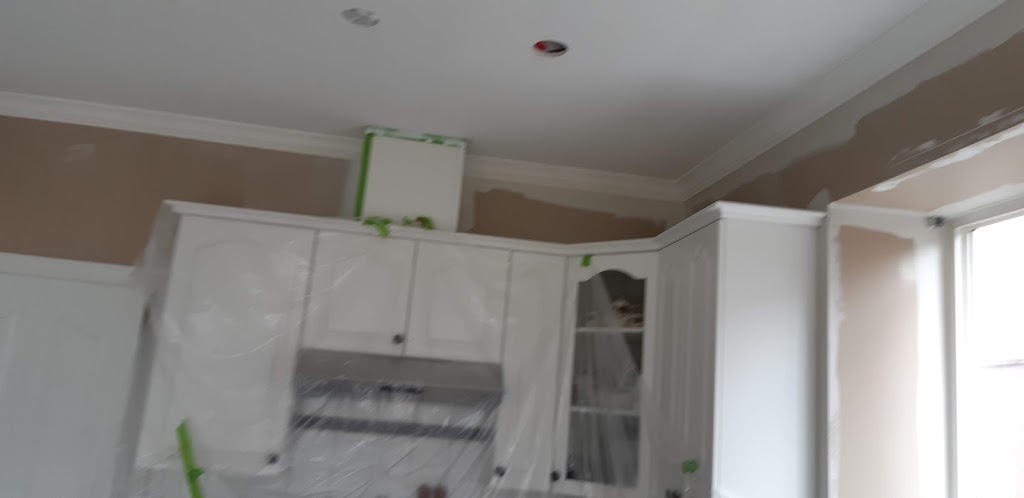 Moe Pro Painting | 10954 152 St, Surrey, BC V3R 6S6, Canada | Phone: (778) 929-5908