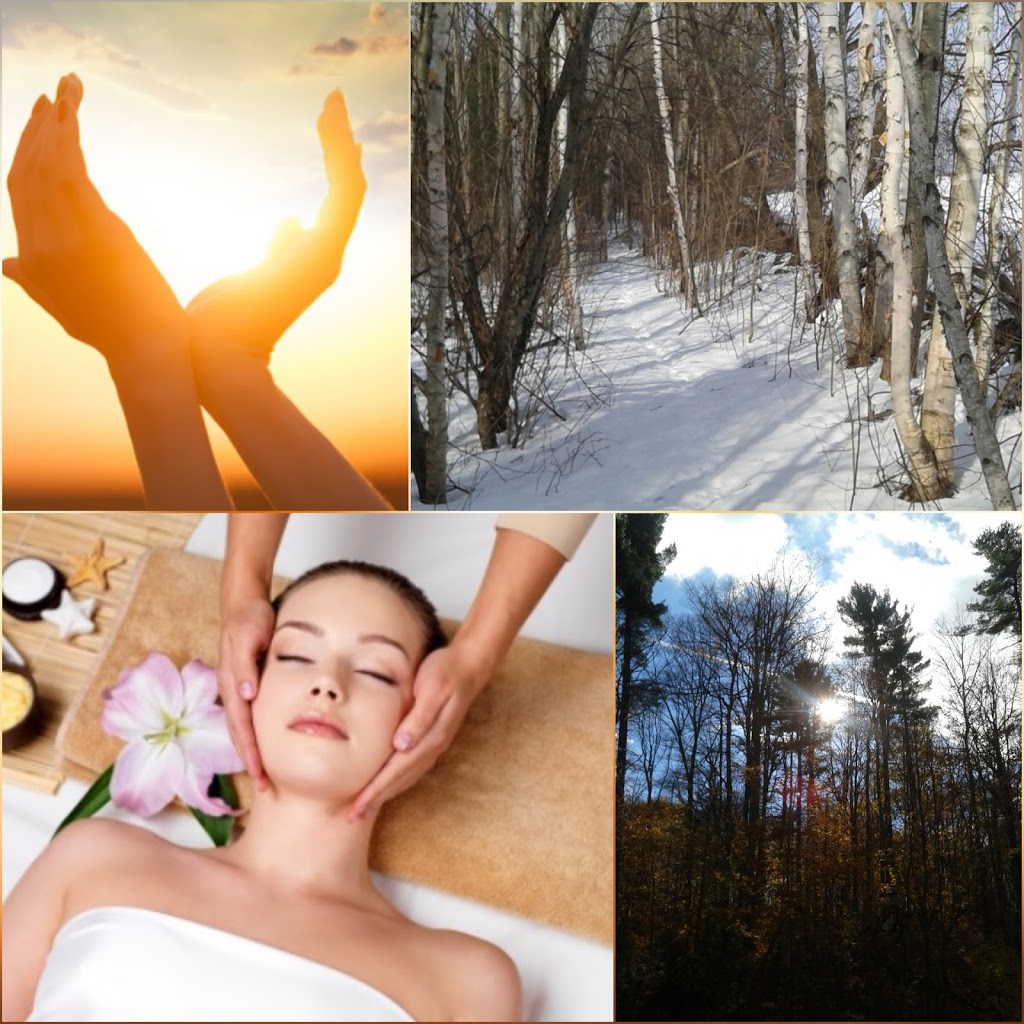 Wandering Star Wellness | 23 Bridge St W, Tweed, ON K0K 3J0, Canada | Phone: (416) 878-0613