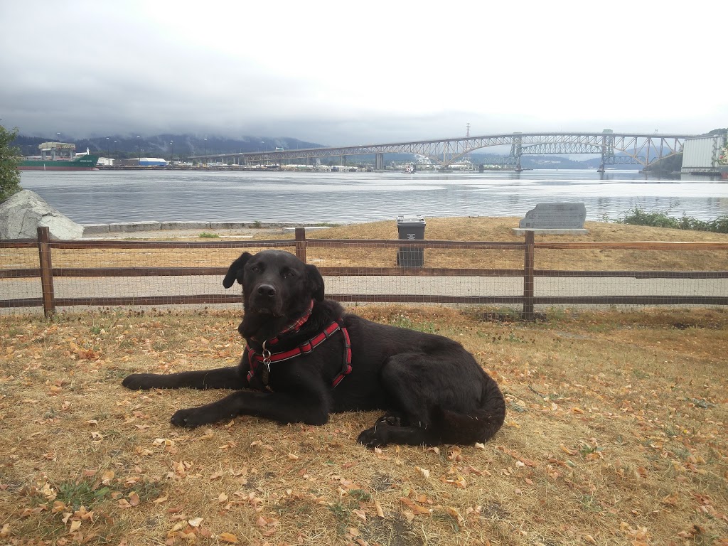 New Brighton Park Off Leash area | 765 Commissioner St, Vancouver, BC V5K 0A1, Canada | Phone: (604) 873-7000