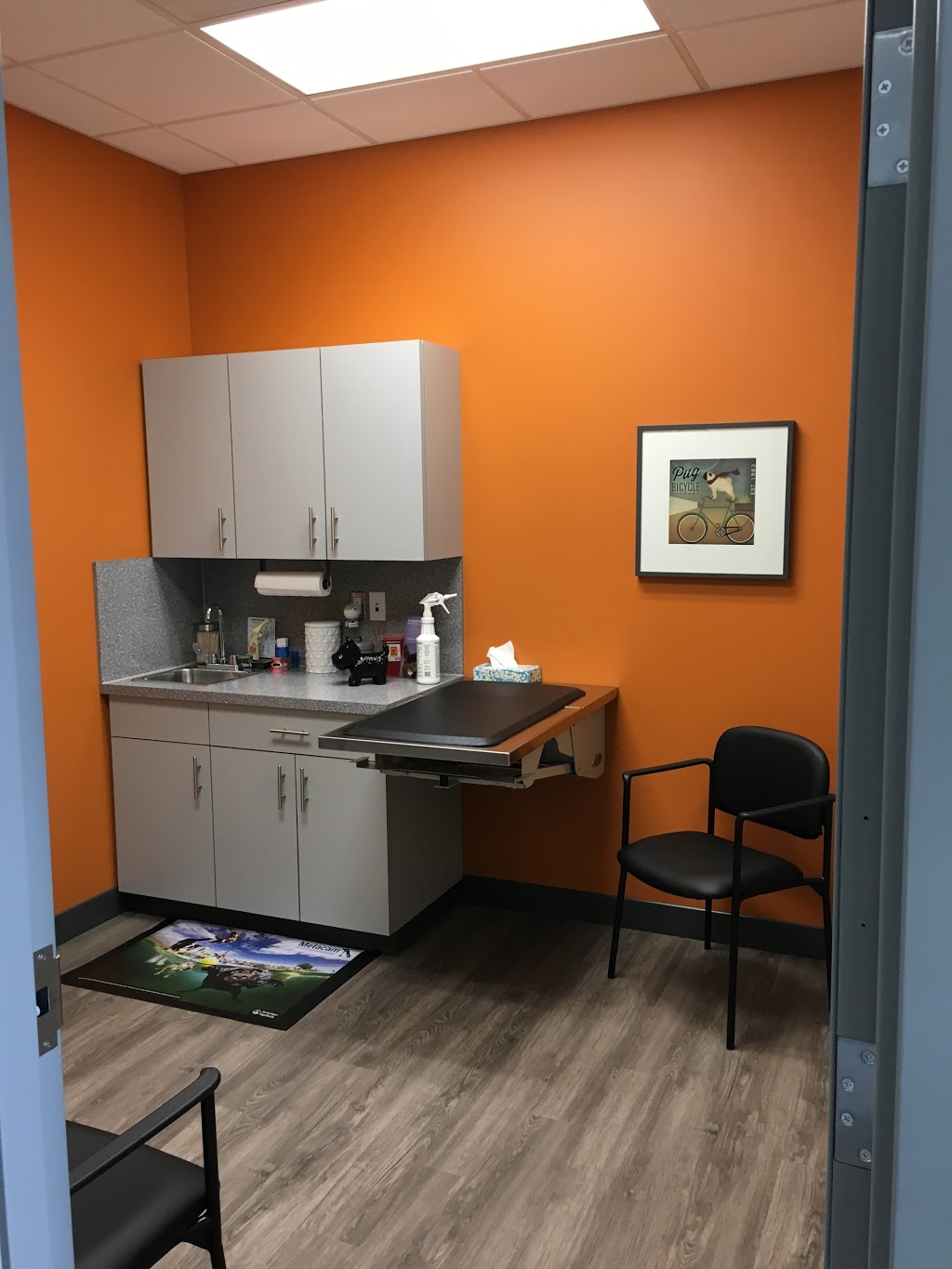 Tamarack Veterinary Clinic | 2531 17 St NW, Edmonton, AB T6T 0Y2, Canada | Phone: (780) 250-1700