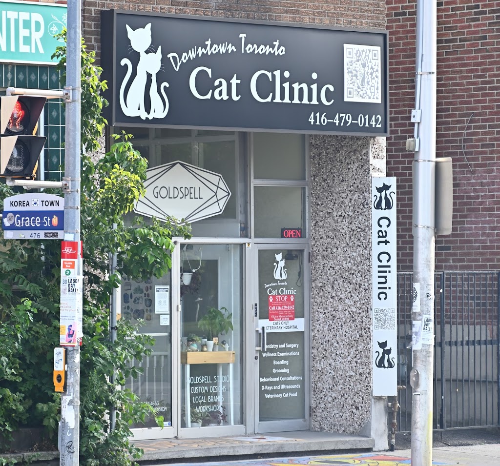 Downtown Toronto Cat Clinic | 739 Bloor St W, Toronto, ON M6G 1L6, Canada | Phone: (416) 479-0142