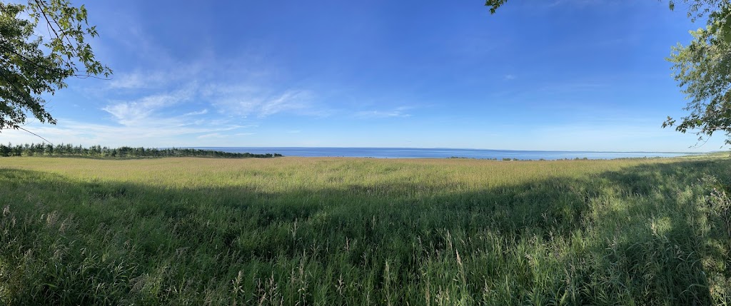 Cimetière Saint-Louis | 70 Rue du Bureau de Poste, Chambord, QC G0W 1G0, Canada | Phone: (418) 342-6414