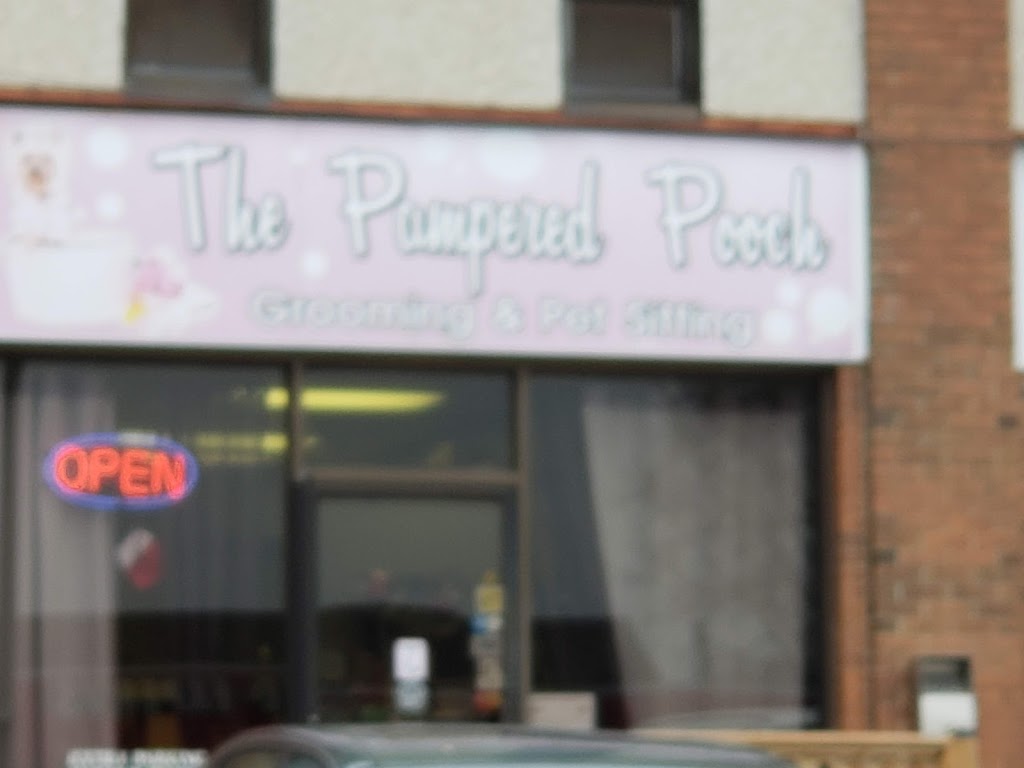 Pampered Pooch | 257 N Front St, Belleville, ON K8P 3C3, Canada | Phone: (613) 968-5340