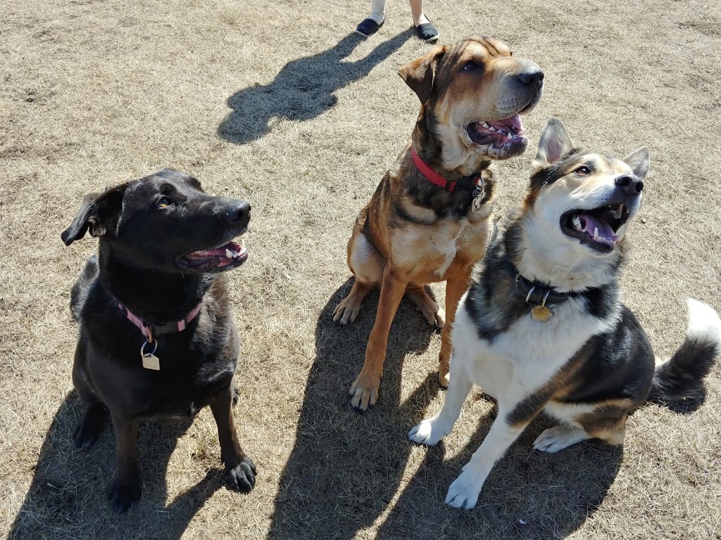 Mcknight/Falconridge Dog Park | 111 Falwood Way NE, Calgary, AB T3J 1A8, Canada